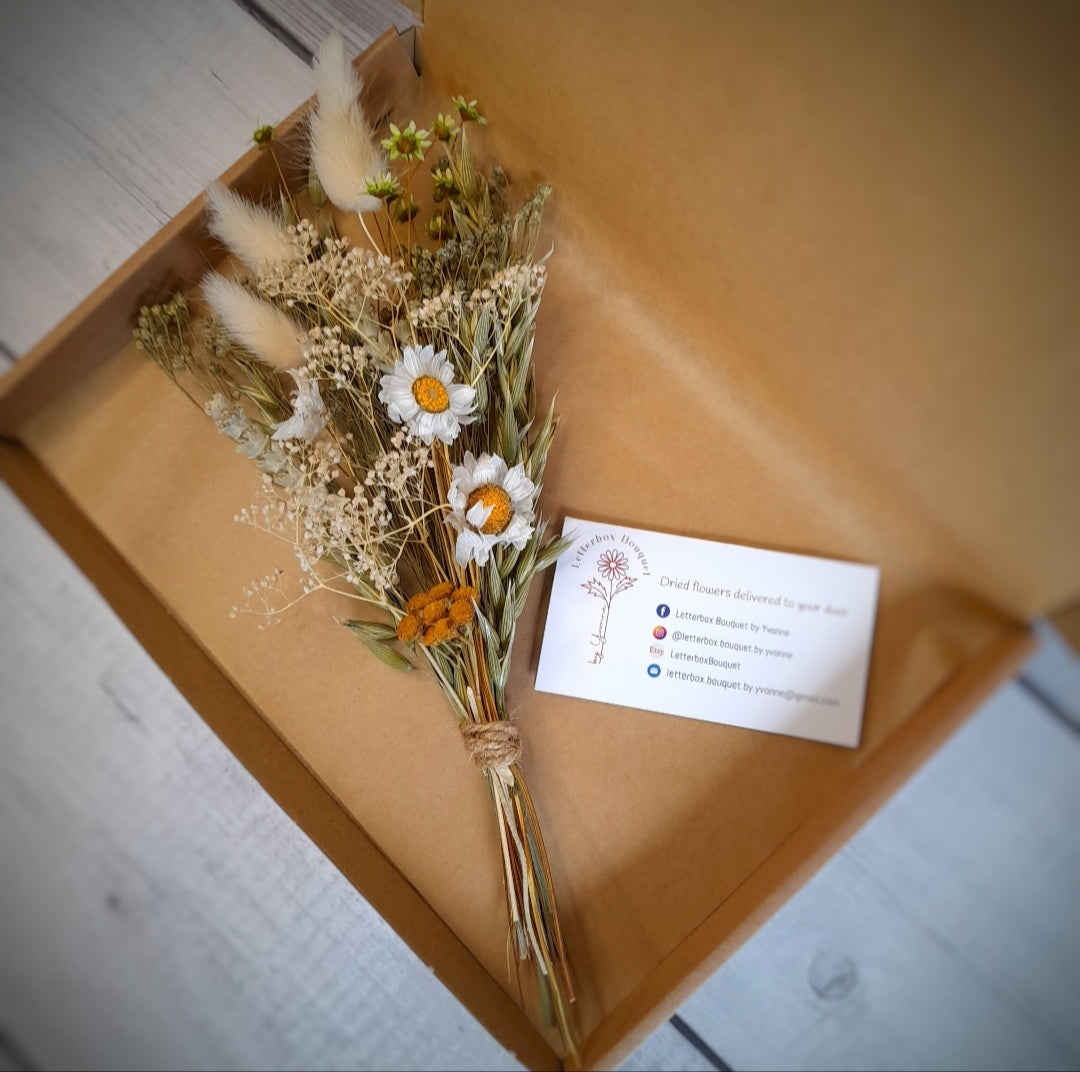 White Daisy Neutral